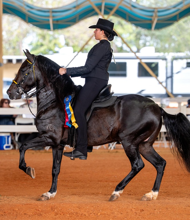 Clases y eventos para niños